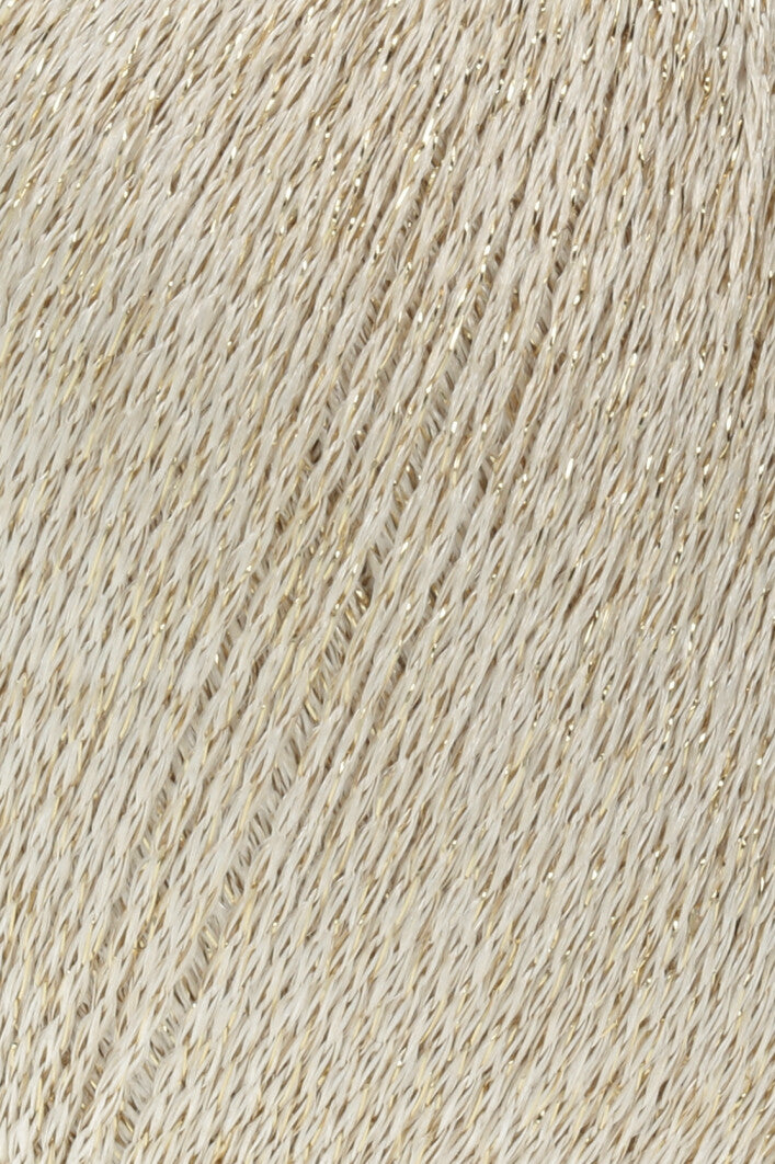Shimmering Lamé Fabric