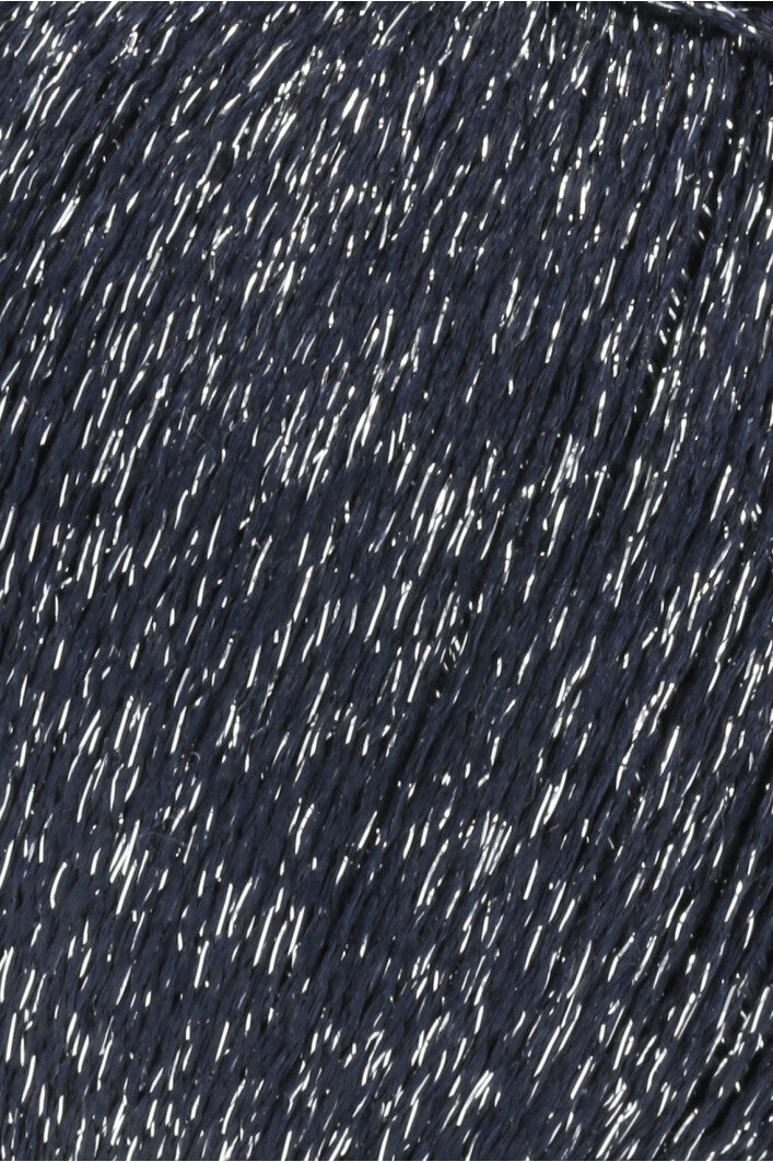 Shimmering Lamé Fabric