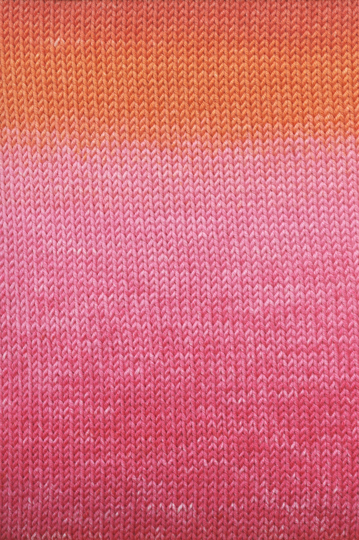 Merino+ Wool in Vibrant Colors