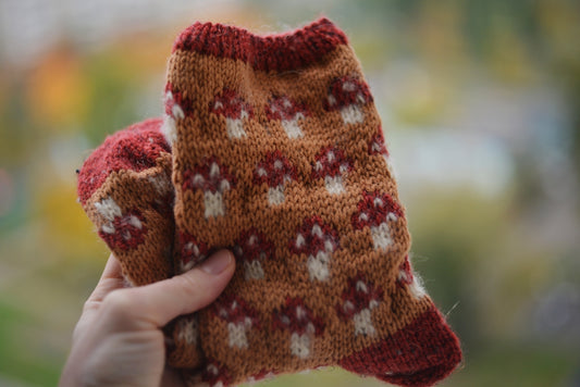 A person holding up a pair of mittens in their hand