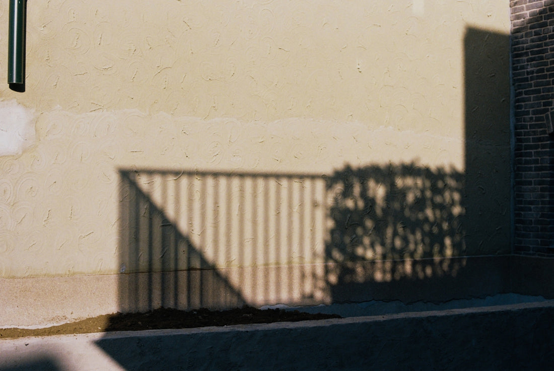 Shadows and light fall on a textured wall.