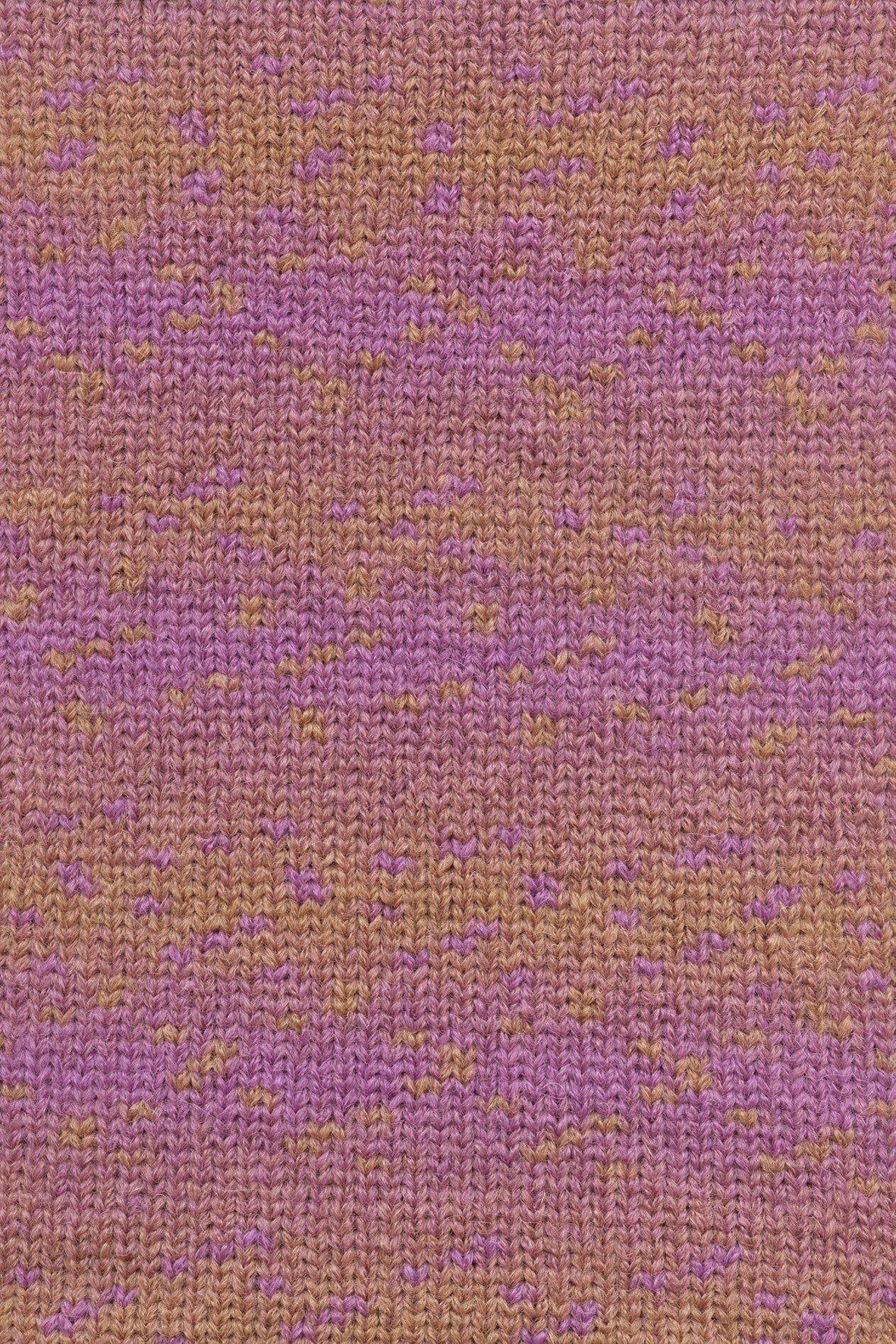 Bergen - couleur 3 - échantillon