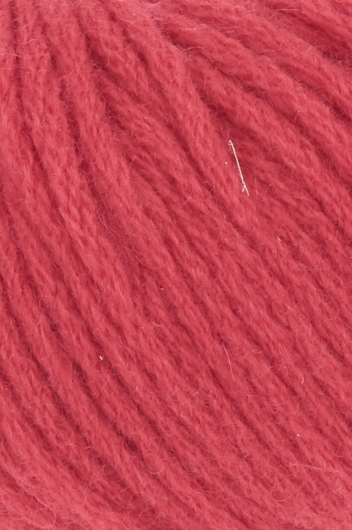 Cashmere Classic - couleur 62