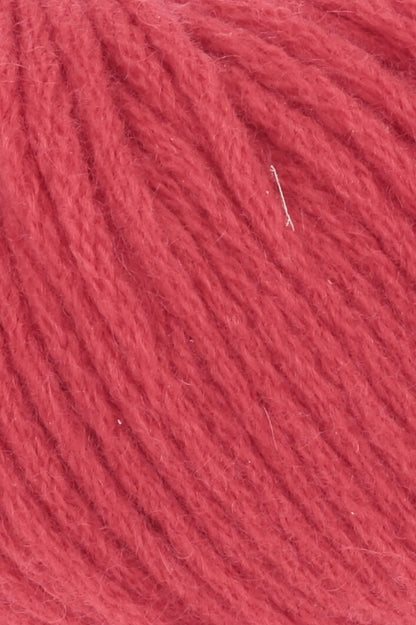 Cashmere Classic - couleur 62