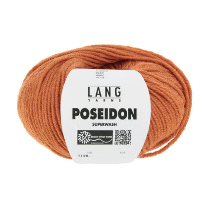 1128_0059_LANGYARNS_Poseidon_1_Print.jpg