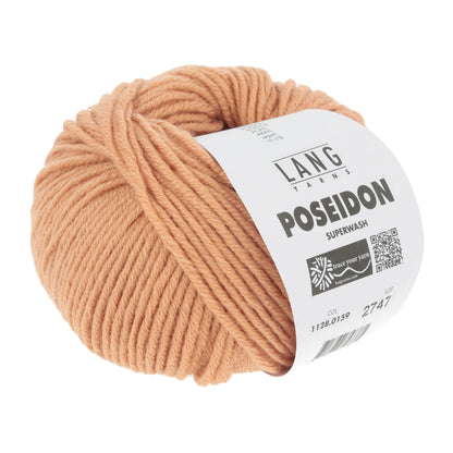 1128_0159_LANGYARNS_Poseidon_3_Print.jpg