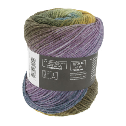1146_0003_LANGYARNS_Move6Ply_4_Print.jpg