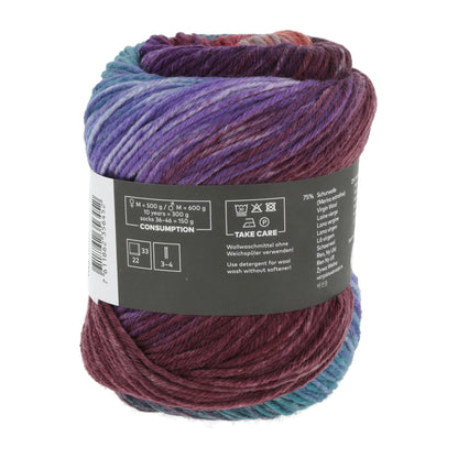 1146_0007_LANGYARNS_Move6Ply_4_Print.jpg