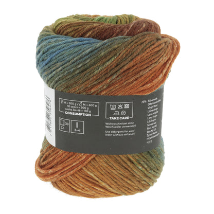 1146_0008_LANGYARNS_Move6Ply_4_Print.jpg