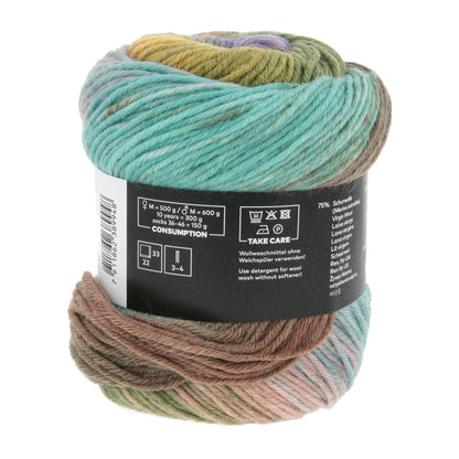 1146_0013_LANGYARNS_Move6Ply_4_Print.jpg