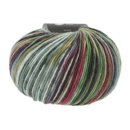 1147_0009_LANGYARNS_Move8Ply_4_Print.jpg