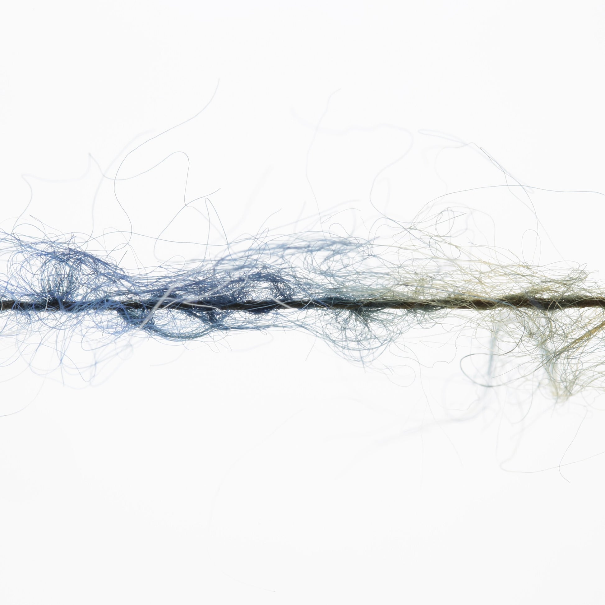 Laine Alpaga "MUSE"