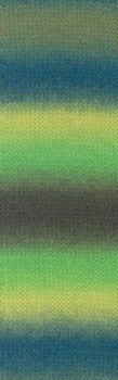 Jawoll Magic Dégradé Couleur 0017