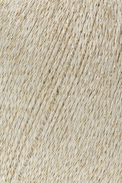 Shimmering Lamé Fabric