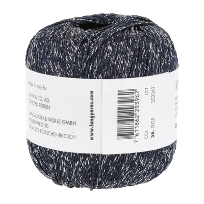 Shimmering Lamé Fabric
