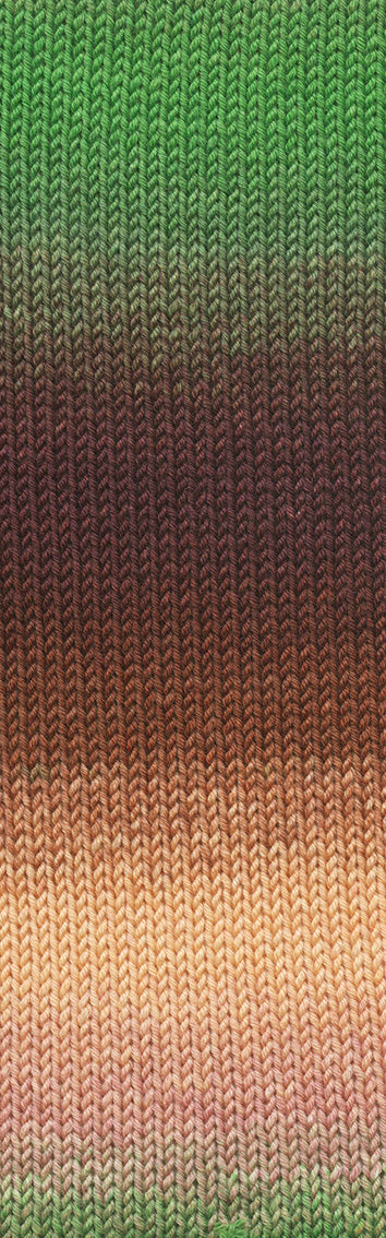 LANGYARNS Luxurious Merino 150 Dégradé Wool Blend