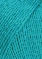 Merino 200 Bébé Couleur 0378