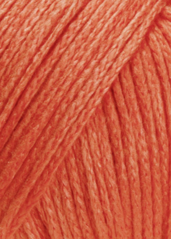 Norma Couleur 61