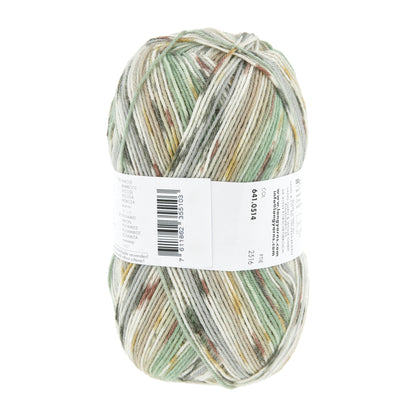 641_0514_LANGYARNS_SuperSoxxBambooColor4Ply_4_Print.jpg