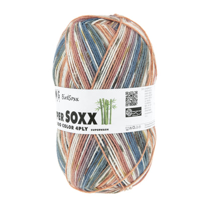 641_0515_LANGYARNS_SuperSoxxBambooColor4Ply_2_Print.jpg