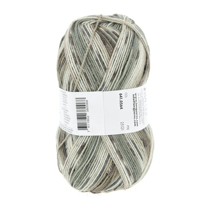 641_0564_LANGYARNS_SuperSoxxBambooColor4Ply_4_Print.jpg