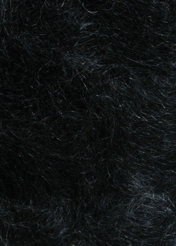 Lace Couleur 0004