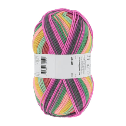 667_0449_LANGYARNS_TwinSoxx8Ply_4_Print.jpg