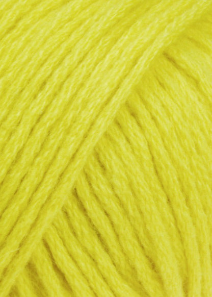Cashmere Classic Couleur 14