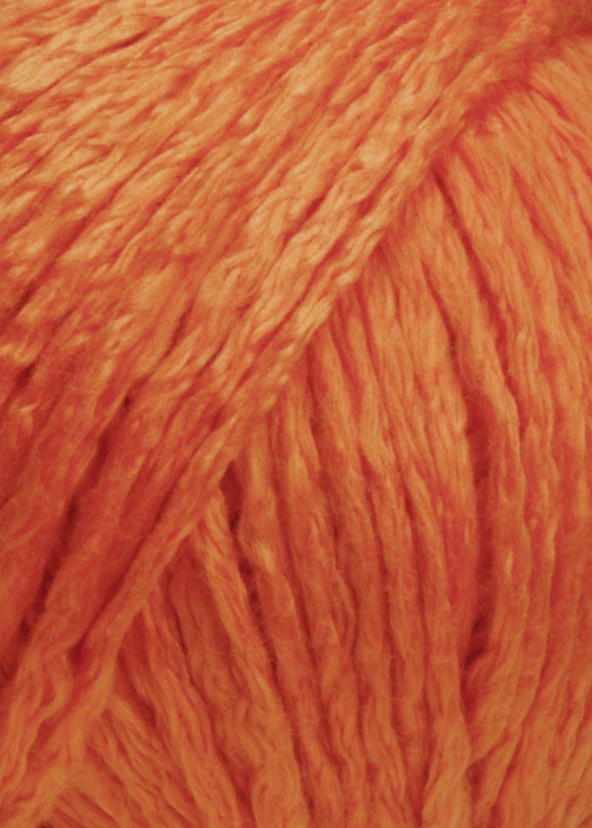 Amira Couleur 0059