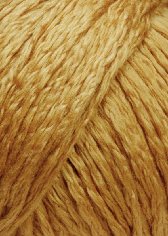 Amira Couleur 0015