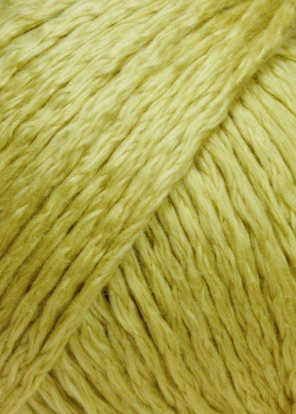 Amira Couleur 0050