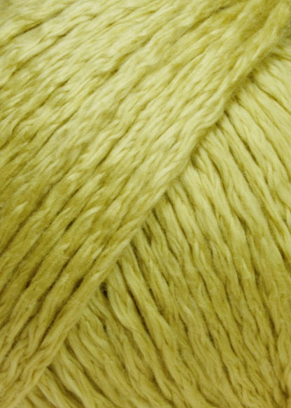 Amira Couleur 0050