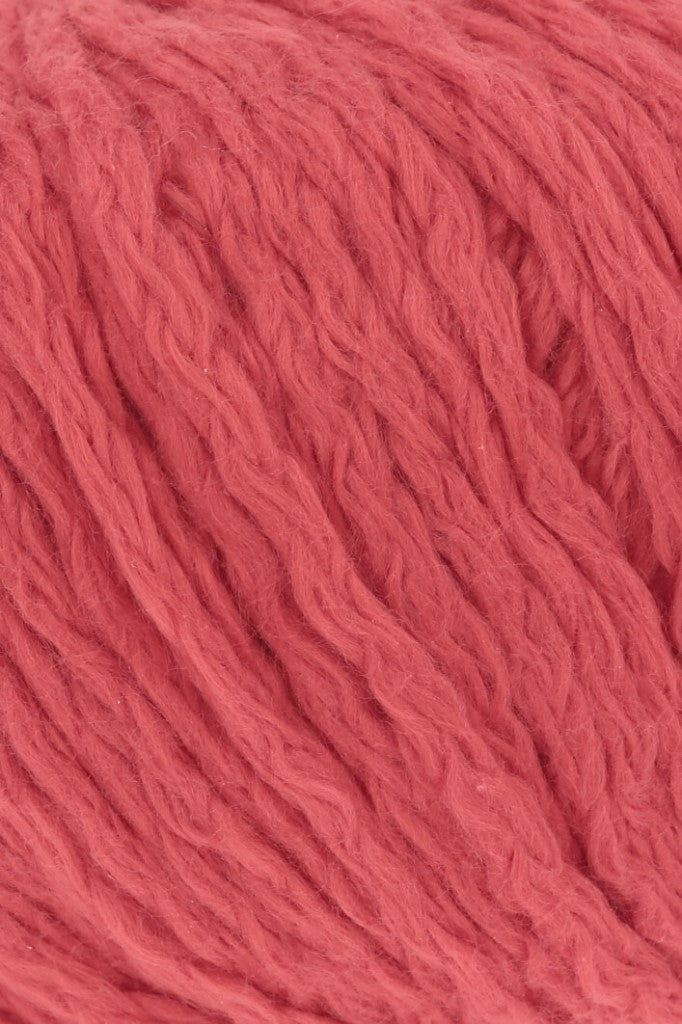 Amira - couleur 60