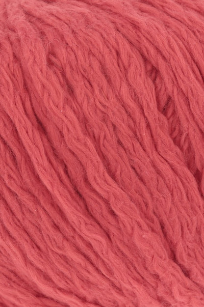 Amira - couleur 60