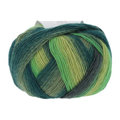 85_0017_LANGYARNS_JawollMagicDegrade_4_Print.jpg