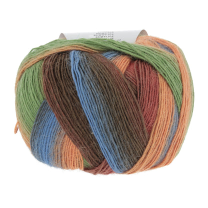85_0027_LANGYARNS_JawollMagicDegrade_4_Print.jpg
