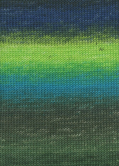 Merino+ Color - couleur 0204