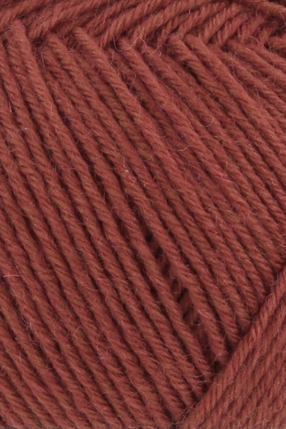 Super Soxx 6PLY Couleur 15