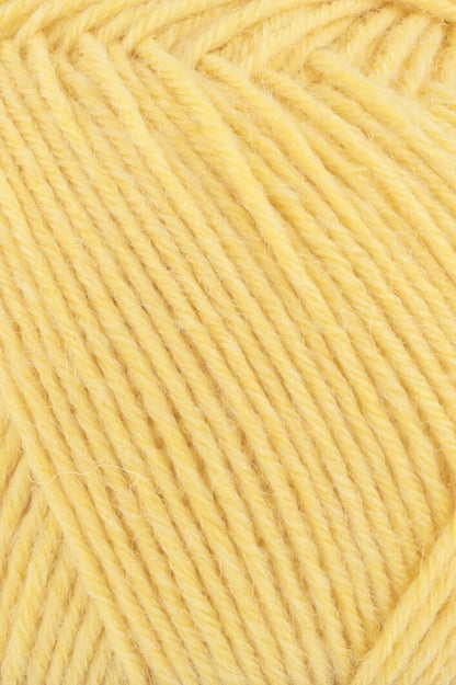 Super Soxx 6PLY Couleur 43