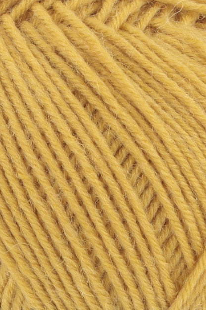 Super Soxx 6PLY Couleur 150