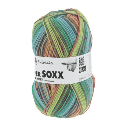 901_0358_LANGYARNS_SuperSoxxColor4Ply_2_Print.jpg
