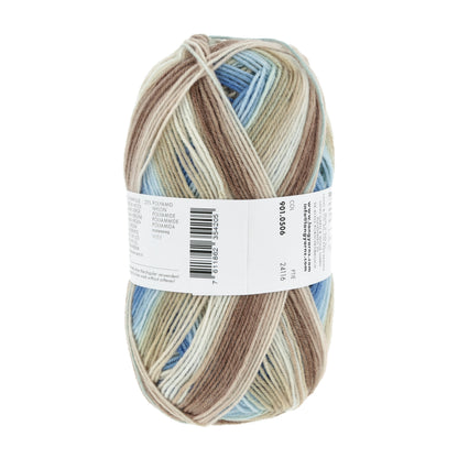 901_0506_LANGYARNS_SuperSoxxColor4Ply_4_Print.jpg