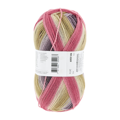 901_0509_LANGYARNS_SuperSoxxColor4Ply_4_Print.jpg