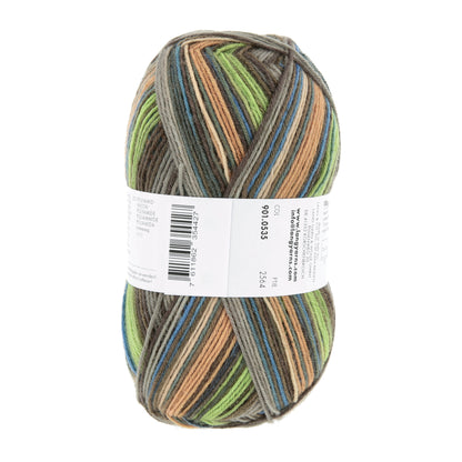 901_0535_LANGYARNS_SuperSoxxColor4Ply_4_Print.jpg