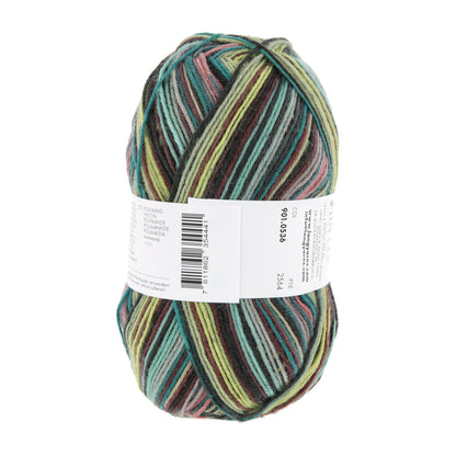 901_0536_LANGYARNS_SuperSoxxColor4Ply_4_Print.jpg