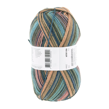 901_0539_LANGYARNS_SuperSoxxColor4Ply_4_Print.jpg