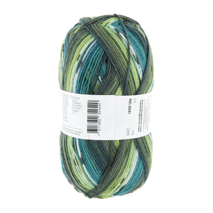 901_0541_LANGYARNS_SuperSoxxColor4Ply_4_Print.jpg