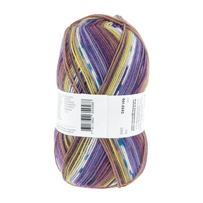 901_0543_LANGYARNS_SuperSoxxColor4Ply_4_Print.jpg