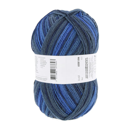 901_0551_LANGYARNS_SuperSoxxColor4Ply_4_Print.jpg
