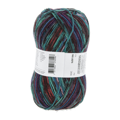 901_0575_LANGYARNS_SuperSoxxColor4Ply_4_Print.jpg